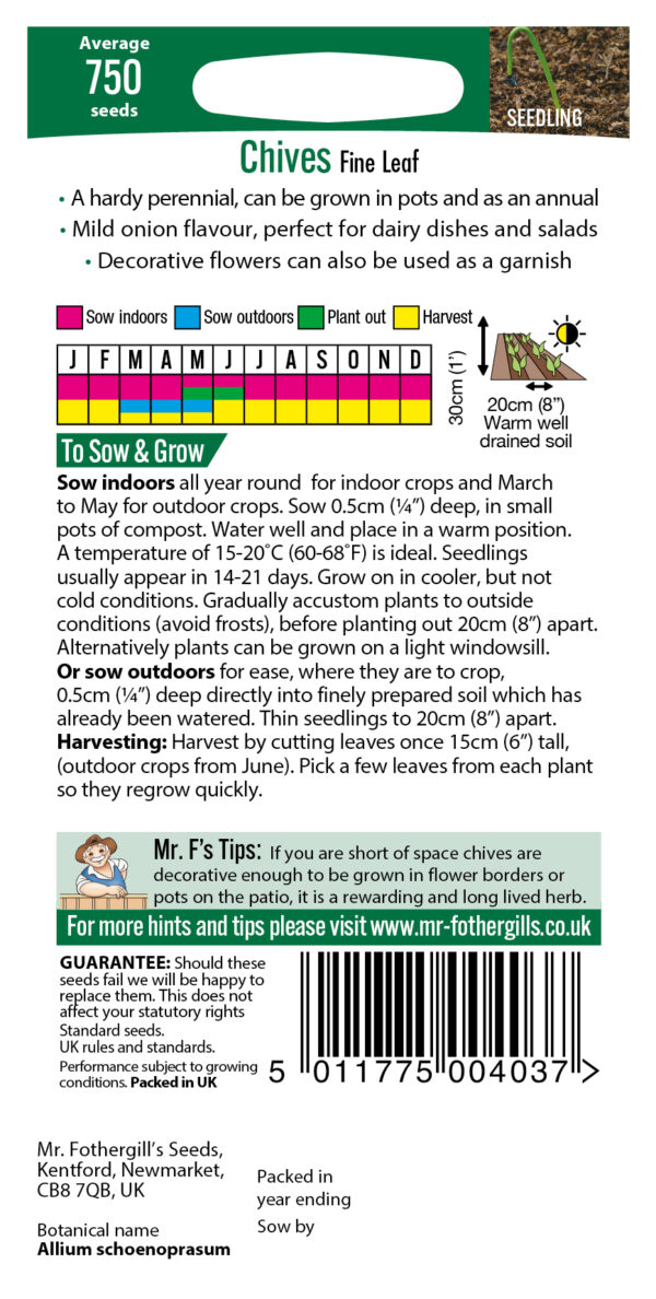 Chives - Image 2