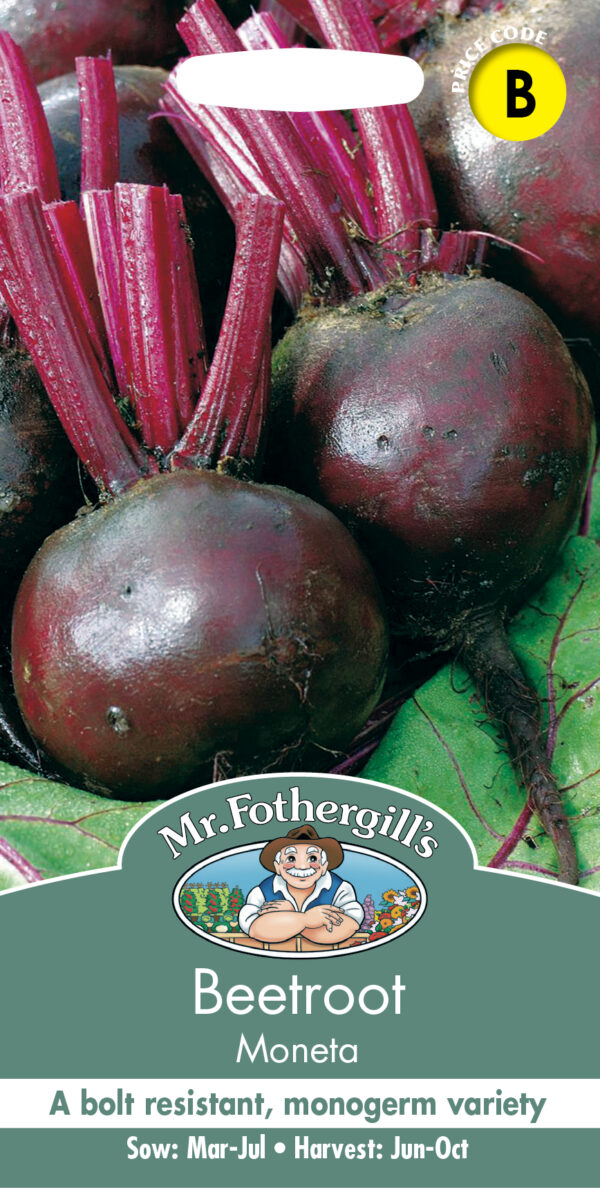 Beetroot Moneta
