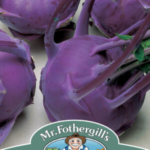 Kohl Rabi Modrava F1