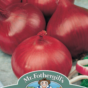 Onion Red Baron