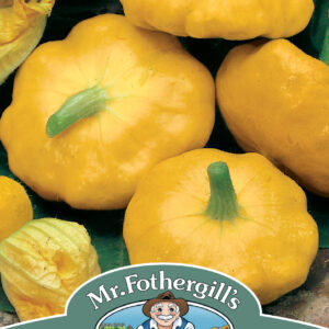 Squash (Summer) Sunburst F1