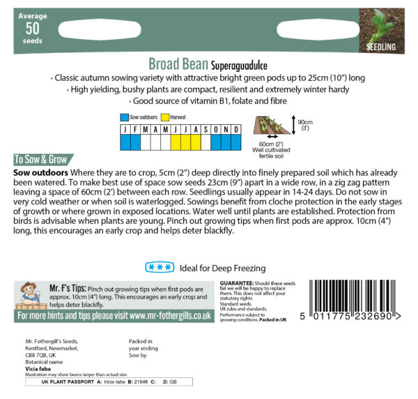 Broad Bean Superaguadulce - Image 2