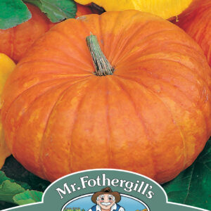 Pumpkin Rouge Vif D'etampes