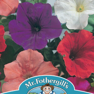 Petunia Confetti Mixed F2