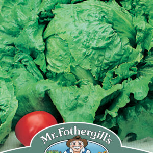 Lettuce Webbs Wonderful