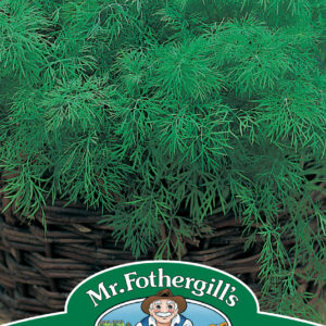 Dill