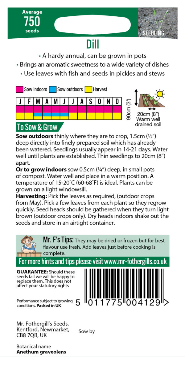 Dill - Image 2