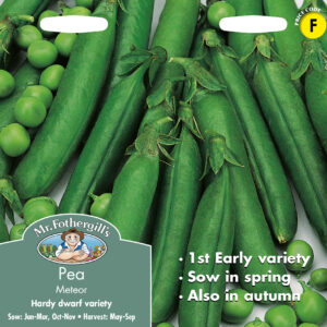 Pea Meteor