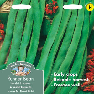 Runner Bean Scarlet Emperor