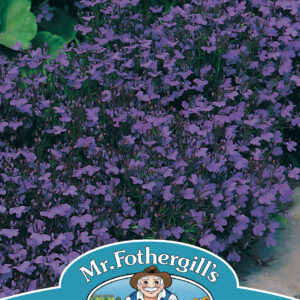 Lobelia Crystal Palace