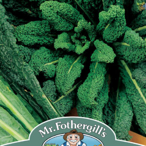 Kale Nero Di Toscana