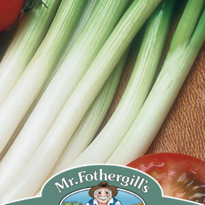 Onion (Spring) Ramrod