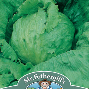 Lettuce Saladin