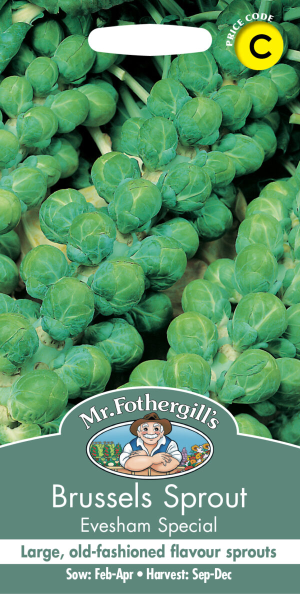 Brussels Sprout Evesham Special