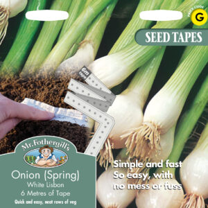 Onion (Spring) White Lisbon Bumper Pack
