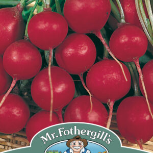 Radish Prinz Rotin