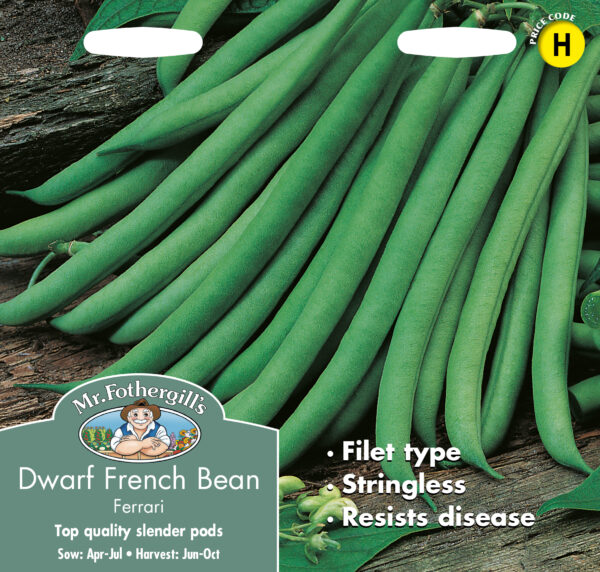 Dwarf French Bean Ferrari