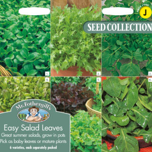 Easy Salad Leaves