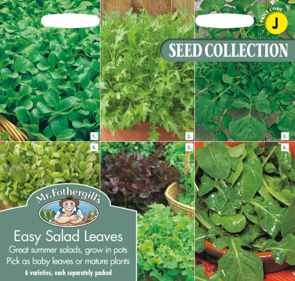 Easy Salad Leaves