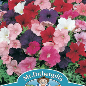 Petunia Mr F's Multiflora Mixed F1