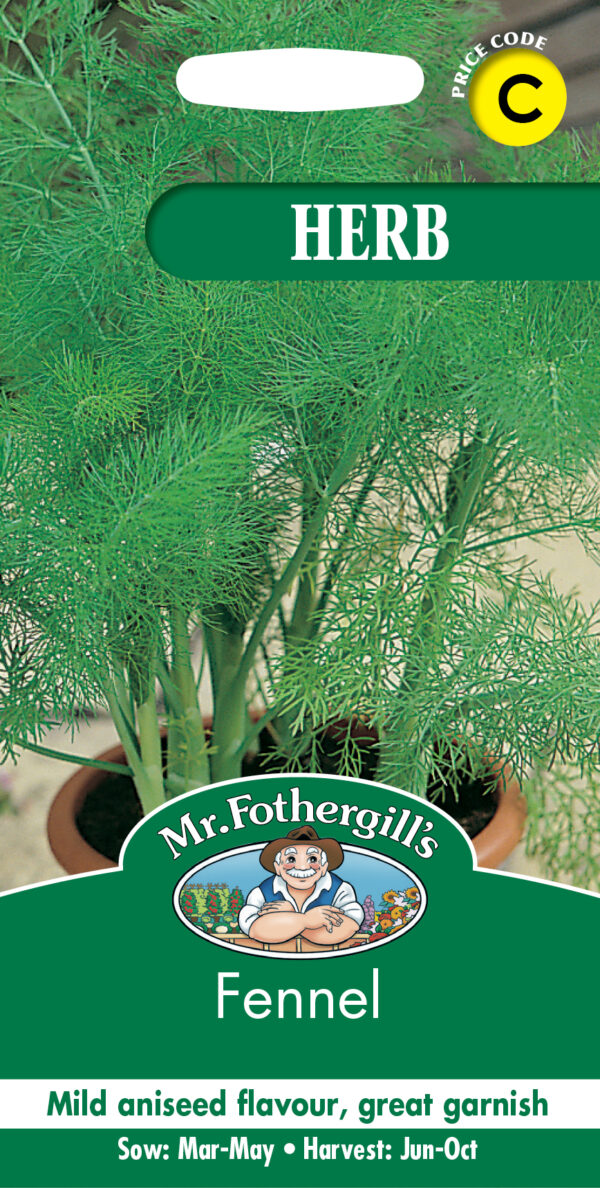 Fennel