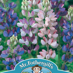 Lupin Pixie Delight