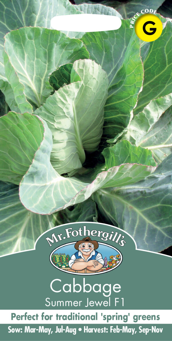 Cabbage Summer Jewel F1