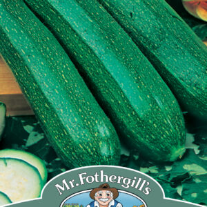 Courgette All Green Bush
