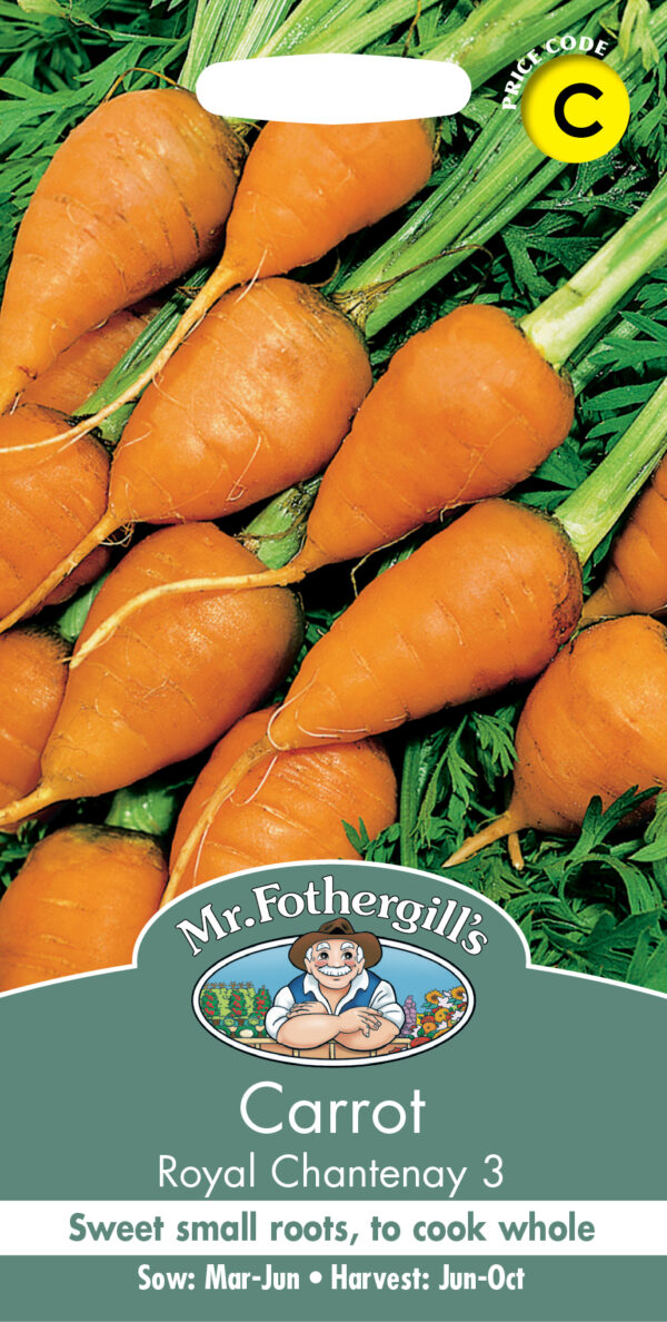 Carrot Royal Chantenay 3