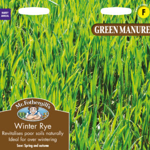 Green Manure Winter Rye