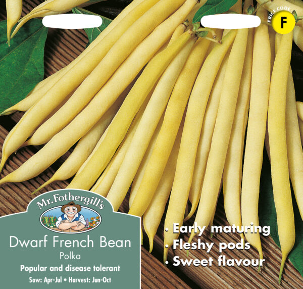 Dwarf French Bean Polka