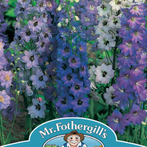 Delphinium Pacific Giants Mixed