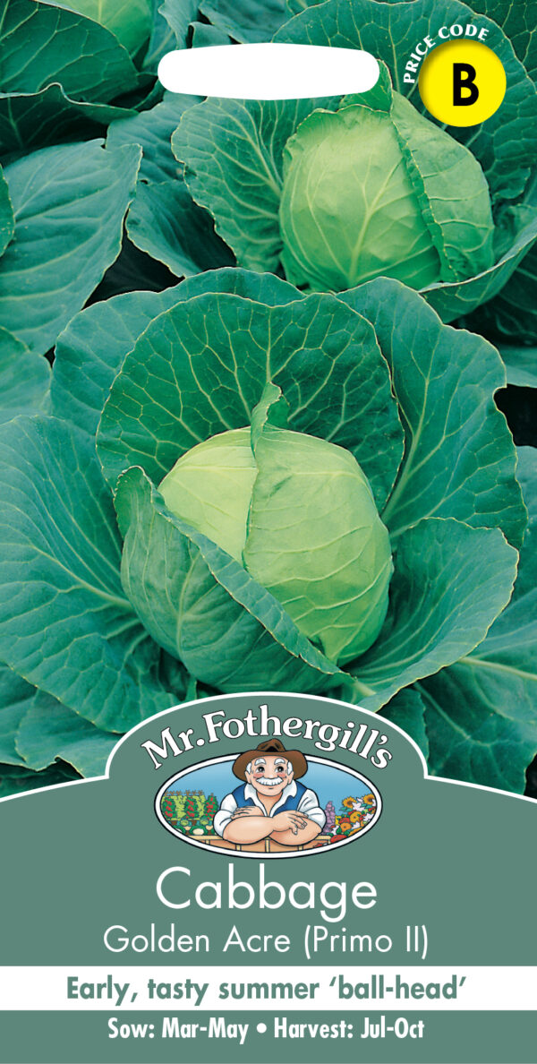 Cabbage Golden Acre (Primo Ii)