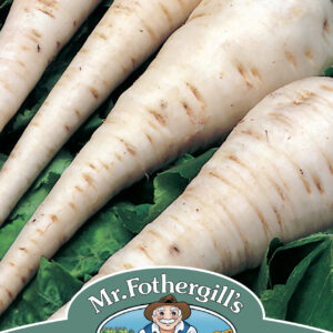 Parsnip White Gem