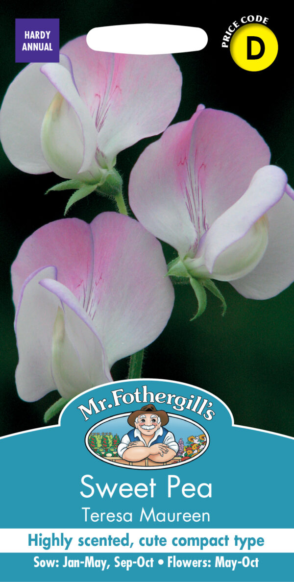 Sweet Pea Teresa Maureen