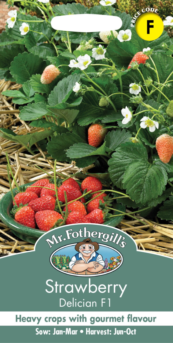 Strawberry Delician F1