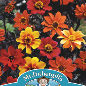 Dahlia Bishops Children