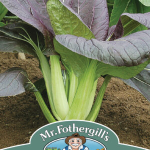 Pak Choi Red Choi F1