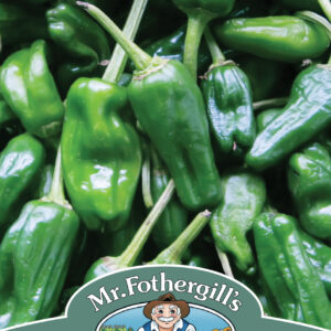 Pepper (Hot) Padron