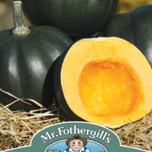 Squash (Winter) Honey Bear F1