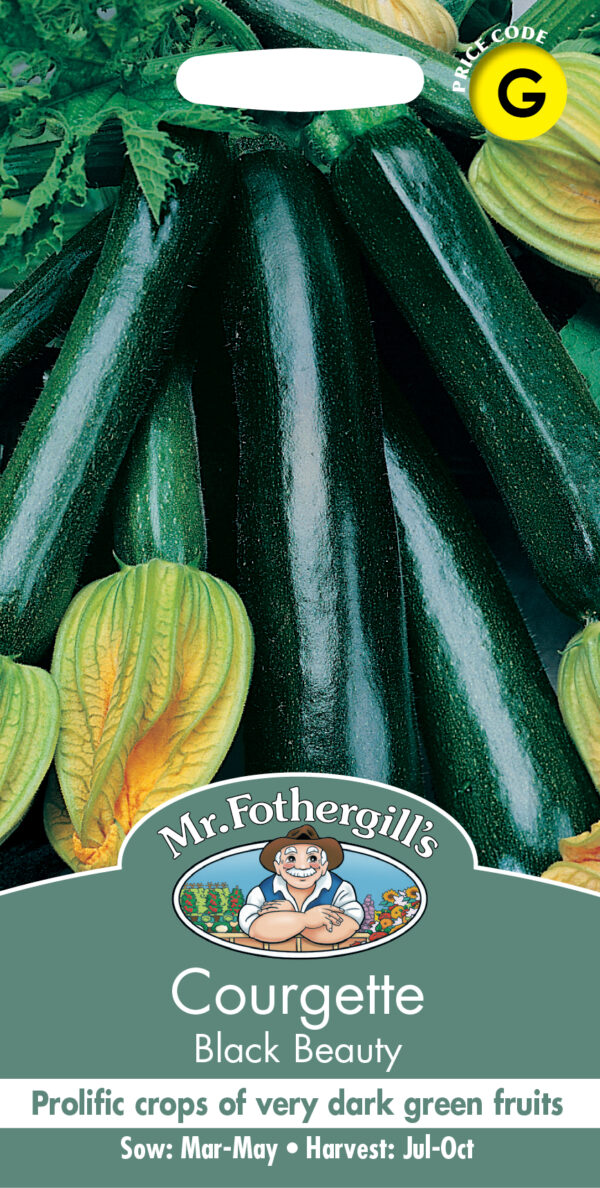 Courgette Black Beauty