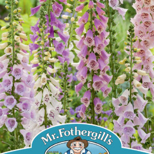 Foxglove Excelsior Mixed