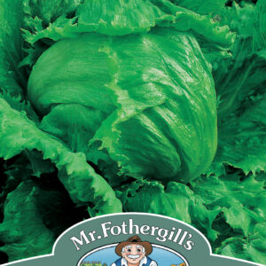 Lettuce Lakeland