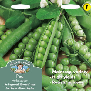 Pea Ambassador