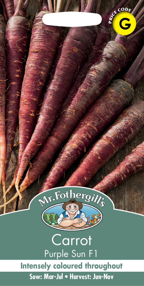Carrot Purple Sun F1