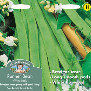 Runner Bean White Lady