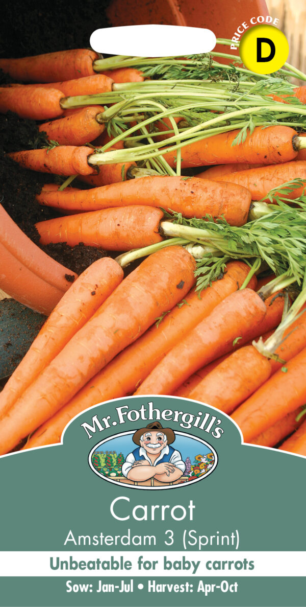 Carrot Amsterdam 3 (Sprint)