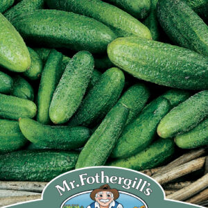 Cucumber (Gherkin) Cornichon De Paris