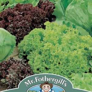 Lettuce Headed Mixed