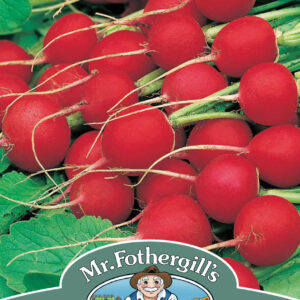 Radish Celesta F1